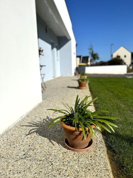 La Maison Bleue - Plain-Pied Proche Plages Et Caen Rosel Exterior photo